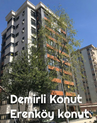 Demirli Konut Erenköy Ülke Sokak